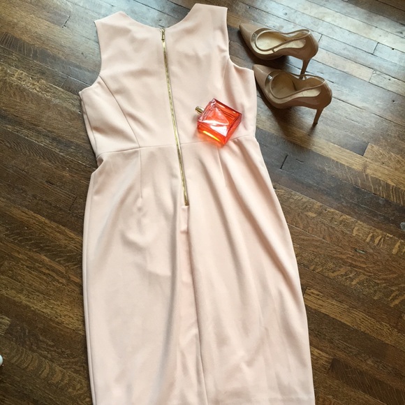Calvin Klein blush pink dress with gold zipper - Picture 4 of 4